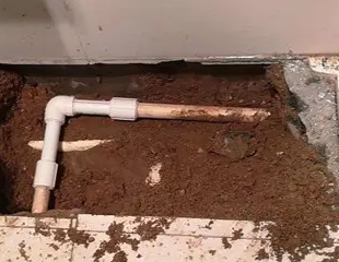 金山测漏水哪家好