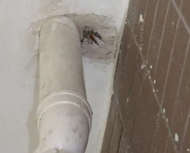 金山漏水检测哪家好